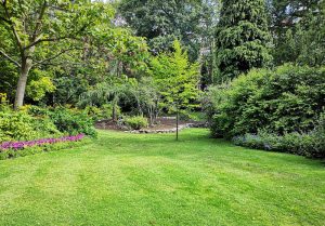 Optimiser l'expérience du jardin à Fontenay-Tresigny
